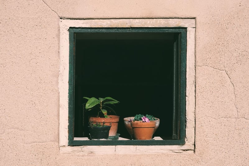 Entrepreneurial Insights